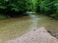 Blick von Kiesbank Prien abwärts